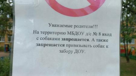 Фотография Детский сад № 8 5