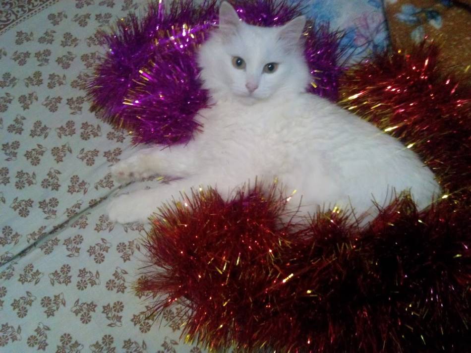 слайд