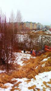 Фотография Золотая рыбка 1