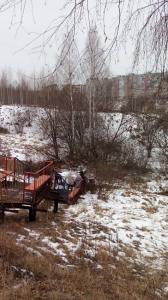 Фотография Золотая рыбка 2