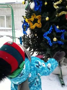 Фотография Золотой ключик 2