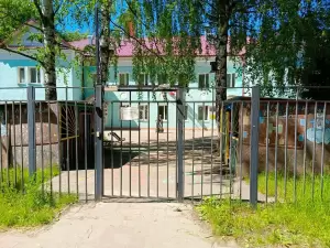 Фотография Пингвин 2