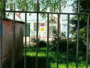 Фотография Пингвин 1