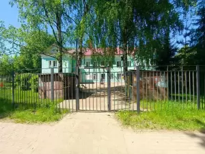 Фотография Пингвин 0