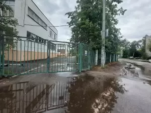 Фотография Подсолнушек 1