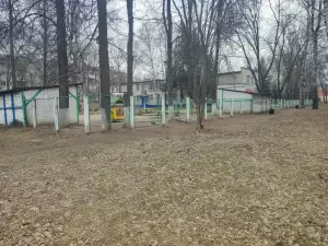 Фотография Семицветик 4