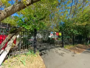 Фотография Петушок 3