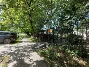 Фотография Петушок 5