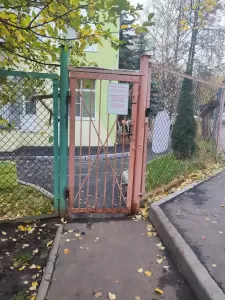 Фотография Ростки 0