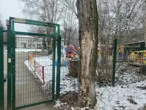 Фотография Детский сад №31 4