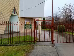 Фотография Золотая рыбка 0