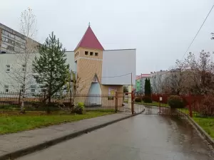 Фотография Золотая рыбка 1