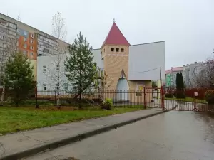 Фотография Золотая рыбка 3