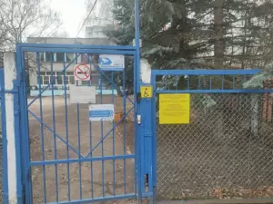 Фотография Березка 0