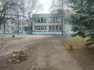 Фотография Березка 1