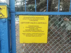 Фотография Березка 3