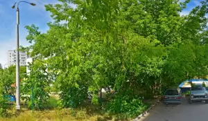 Фотография Детский сад №97 2