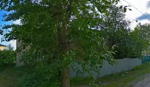 Фотография Колобок 1