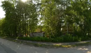 Фотография Березка 0