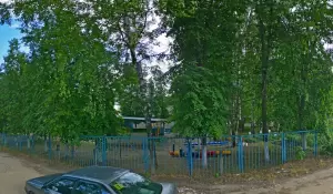 Фотография Золотой петушок 0