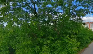 Фотография Детский сад №105 1