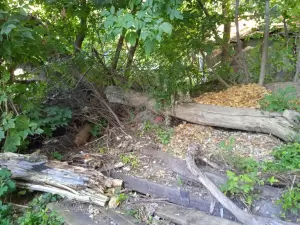 Фотография Детский сад № 298 3