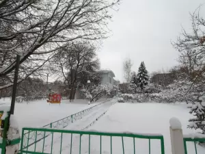 Фотография Кроха 4