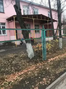 Фотография Детский сад № 103 "Семицветик" 5